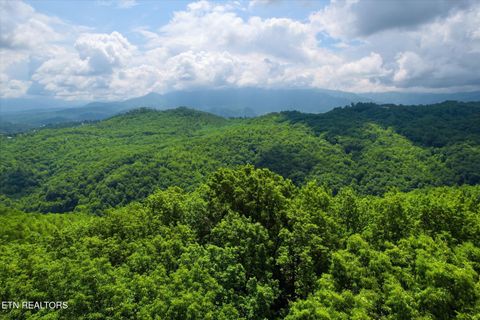 Tiny photo for Woodfern Way, Gatlinburg, TN 37738 (MLS # 1342797)
