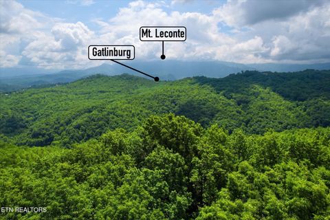 Tiny photo for Woodfern Way, Gatlinburg, TN 37738 (MLS # 1342797)