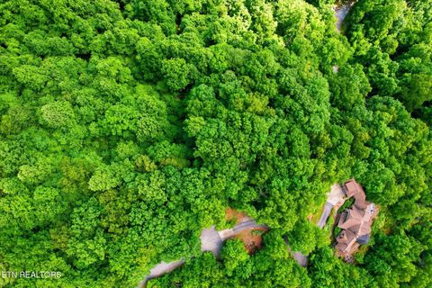 Tiny photo for Woodfern Way, Gatlinburg, TN 37738 (MLS # 1342797)