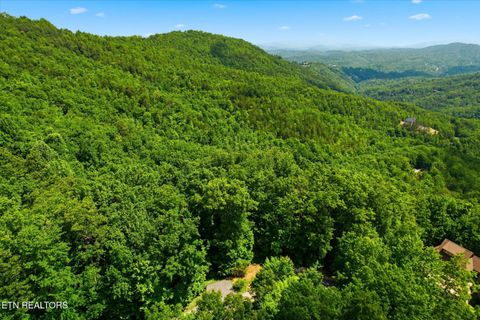 Tiny photo for Woodfern Way, Gatlinburg, TN 37738 (MLS # 1342797)