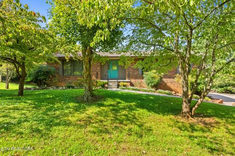 406 Farmer Hollow Rd Clinton TN 37716