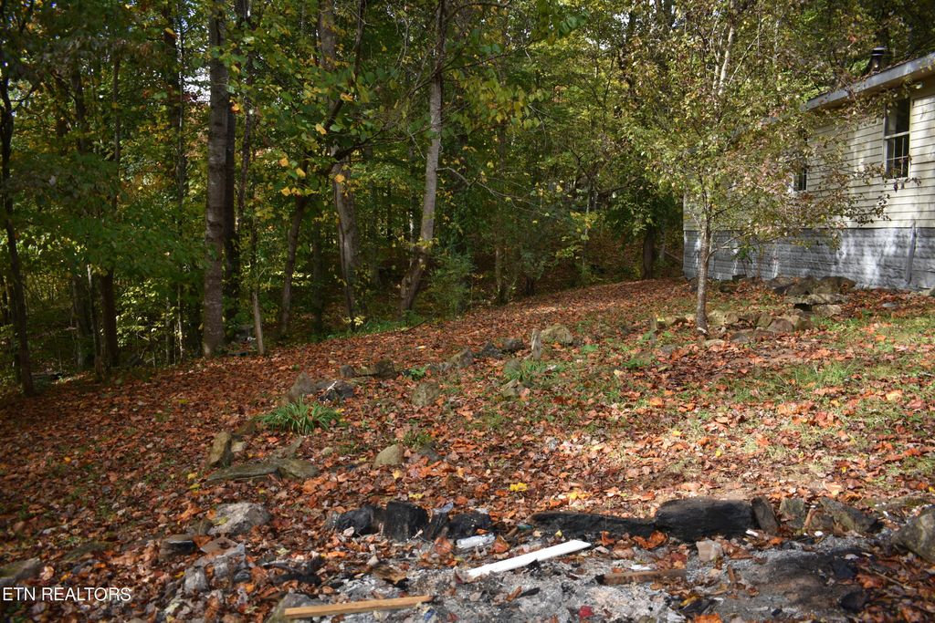 Photo of 220 Harbor Rd, Tazewell, TN 37879 (MLS # 1243109)