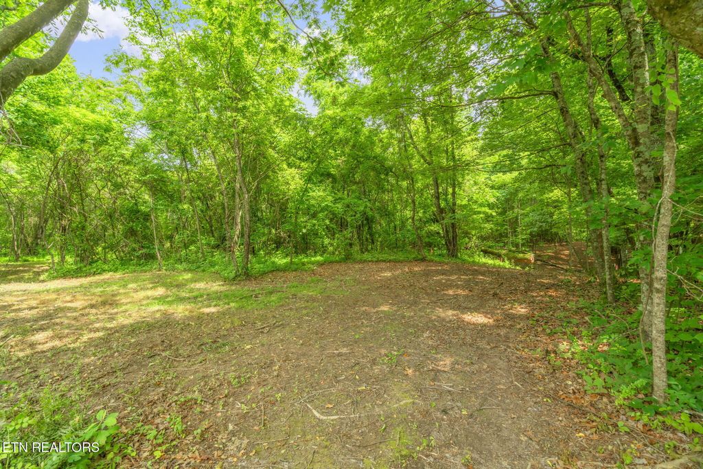 Photo of 2 Black Oak Road, Clinton, TN 37716 (MLS # 1304876)