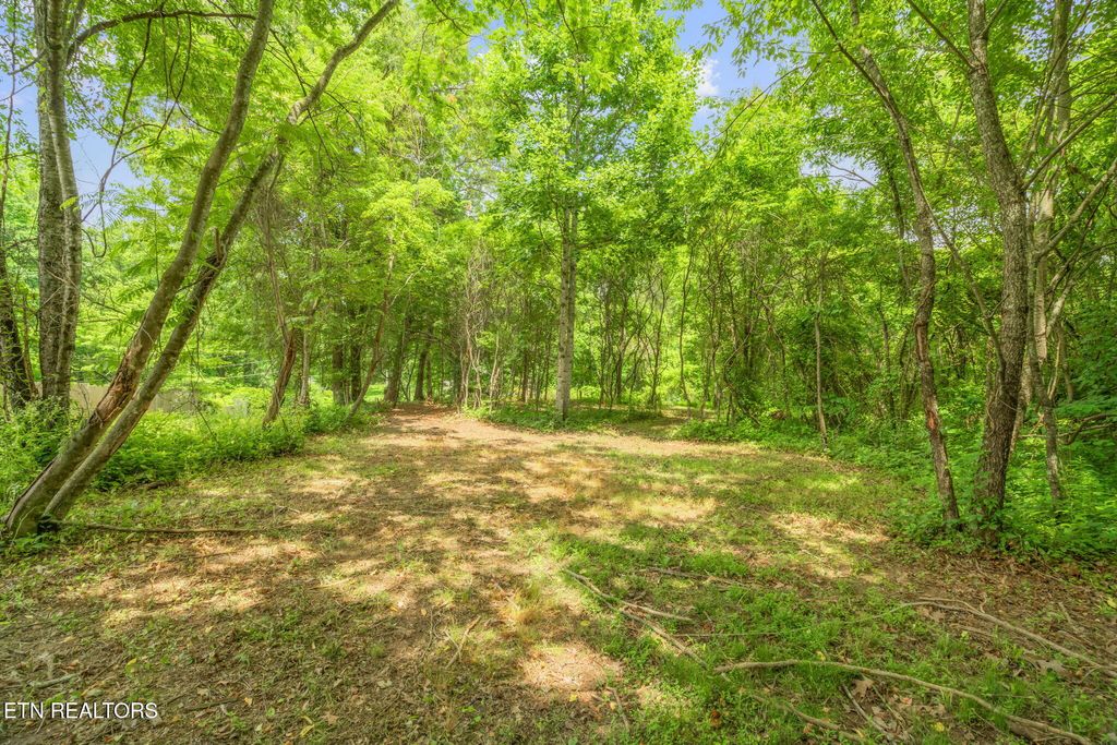 Photo of 2 Black Oak Road, Clinton, TN 37716 (MLS # 1304876)