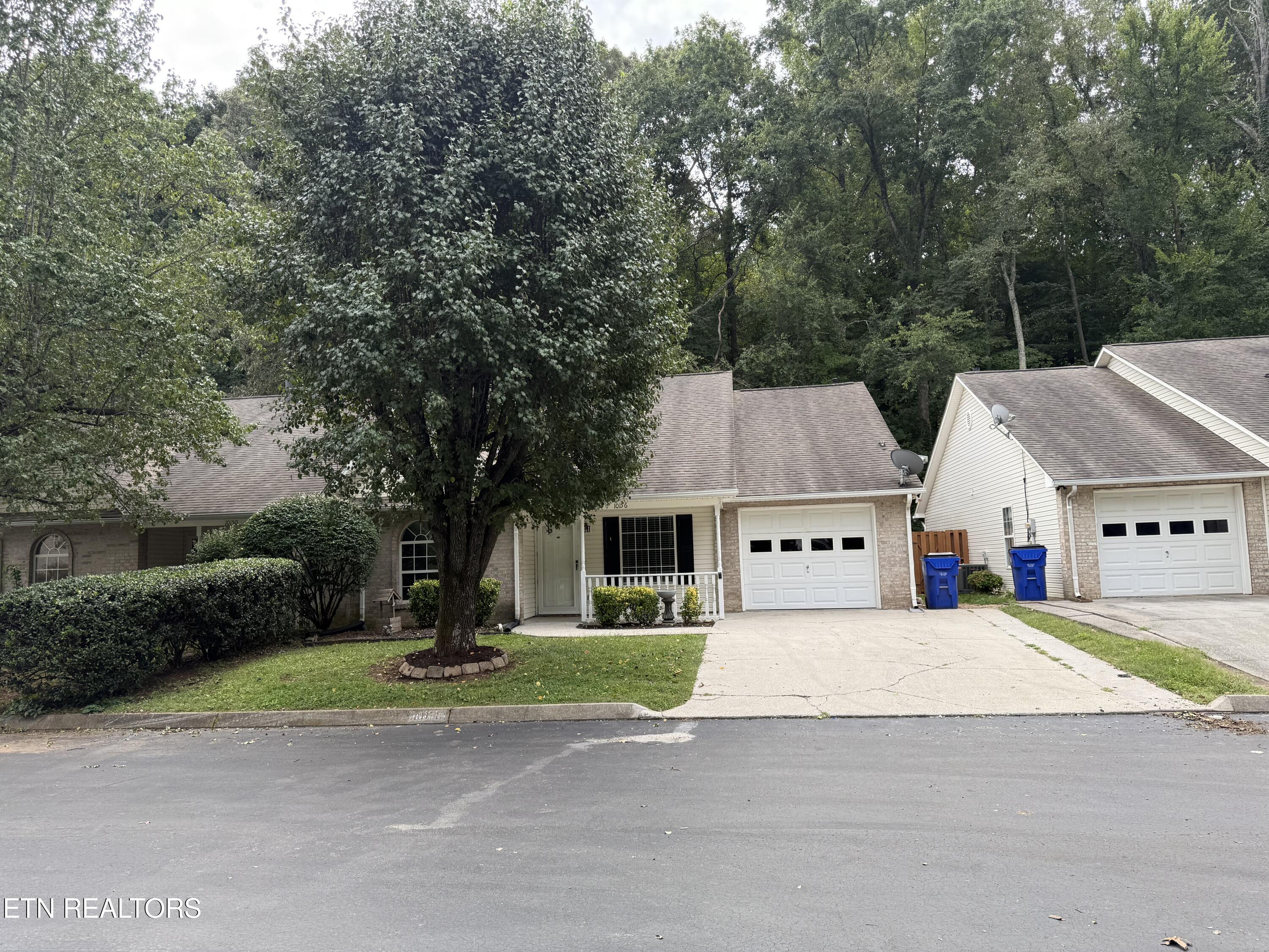 10156 Bellflower Way