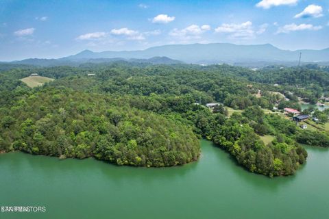 Tiny photo for 2751 Von Hill Rd, Dandridge, TN 37725 (MLS # 1342146)
