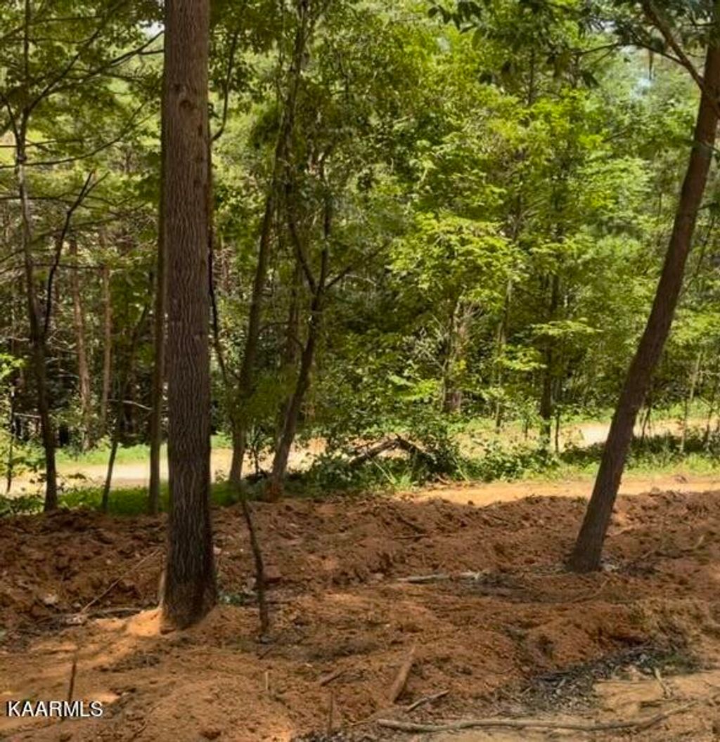 Photo of Jim Davis Rd, Tellico Plains, TN 37385 (MLS # 1237433)