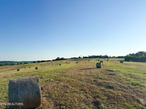 Tiny photo for 11 Summerset Drive, Talbott, TN 37877 (MLS # 1318825)