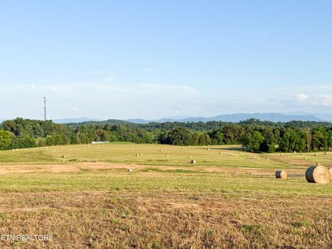 Tiny photo for 11 Summerset Drive, Talbott, TN 37877 (MLS # 1318825)