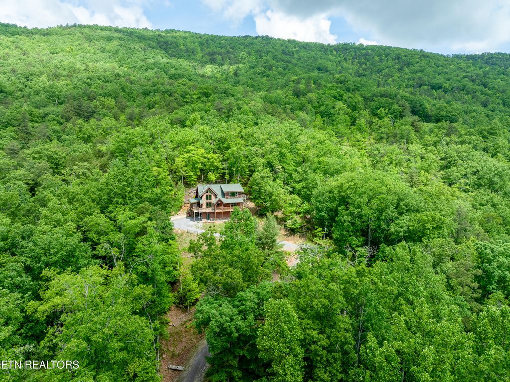 Photo of 184 Brinegar Way, Walland, TN 37886 (MLS # 1262838)