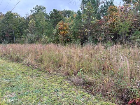 Photo of Everett Lane, Robbins, TN 37852 (MLS # 1318159)