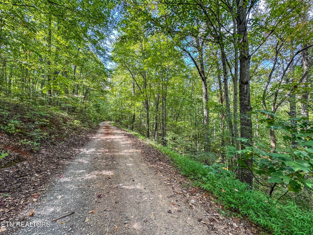 Photo of 552 New Providence Rd, Tellico Plains, TN 37385 (MLS # 1314982)