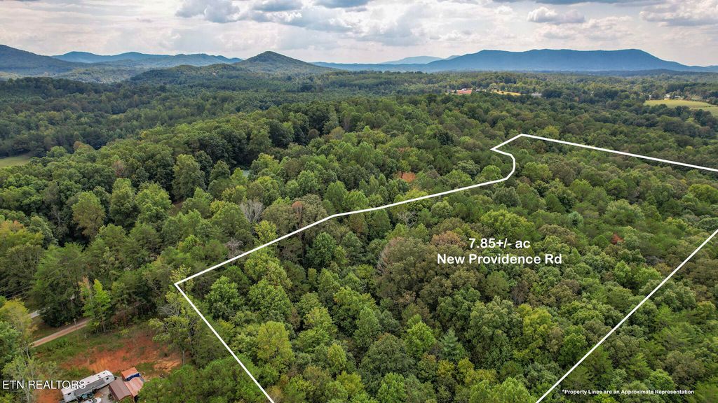 Photo of 552 New Providence Rd, Tellico Plains, TN 37385 (MLS # 1314982)