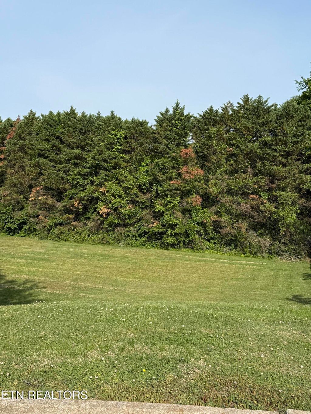Photo of 5601 Barineau Lane, Knoxville, TN 37920 (MLS # 1339418)
