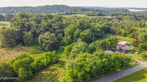 Tiny photo for Brethren Church Rd, White Pine, TN 37890 (MLS # 1328121)