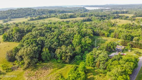 Tiny photo for Brethren Church Rd, White Pine, TN 37890 (MLS # 1328121)