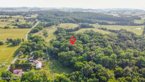 Tiny photo for Brethren Church Rd, White Pine, TN 37890 (MLS # 1328121)