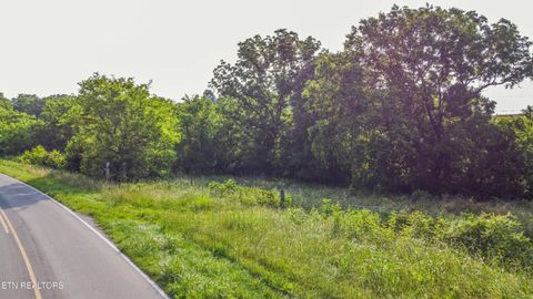 Tiny photo for Brethren Church Rd, White Pine, TN 37890 (MLS # 1328121)