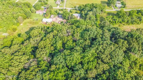 Tiny photo for Brethren Church Rd, White Pine, TN 37890 (MLS # 1328121)