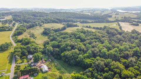 Tiny photo for Brethren Church Rd, White Pine, TN 37890 (MLS # 1328121)