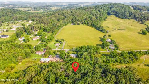 Tiny photo for Brethren Church Rd, White Pine, TN 37890 (MLS # 1328121)
