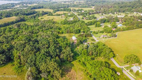 Tiny photo for Brethren Church Rd, White Pine, TN 37890 (MLS # 1328121)