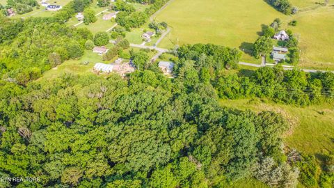 Tiny photo for Brethren Church Rd, White Pine, TN 37890 (MLS # 1328121)