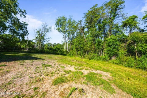 Tiny photo for 135 Gamble Lane, LaFollette, TN 37766 (MLS # 1343320)
