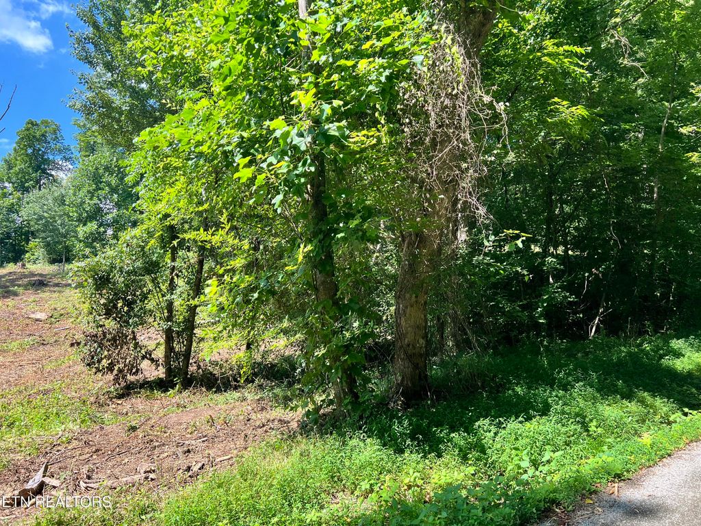 Photo of 1 Arwine Road, Decatur, TN 37322 (MLS # 1285655)
