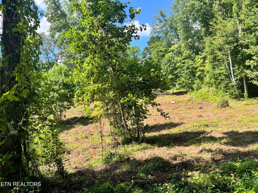 Photo of 1 Arwine Road, Decatur, TN 37322 (MLS # 1285655)
