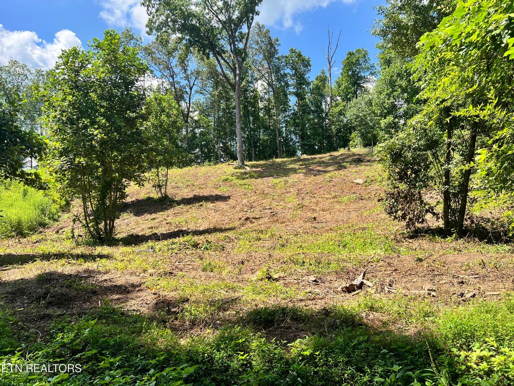Photo of 1 Arwine Road, Decatur, TN 37322 (MLS # 1285655)