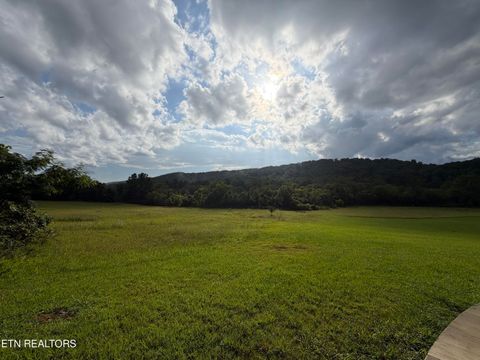 Tiny photo for 813 Ward Rd, Decatur, TN 37322 (MLS # 1349476)