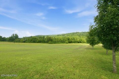 Tiny photo for 813 Ward Rd, Decatur, TN 37322 (MLS # 1349476)