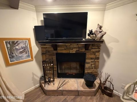 Tiny photo for 813 Ward Rd, Decatur, TN 37322 (MLS # 1349476)