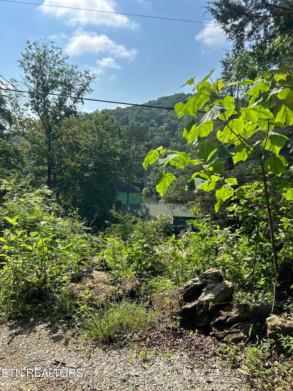 Photo of 309 Marina Lane, LaFollette, TN 37766 (MLS # 1306804)