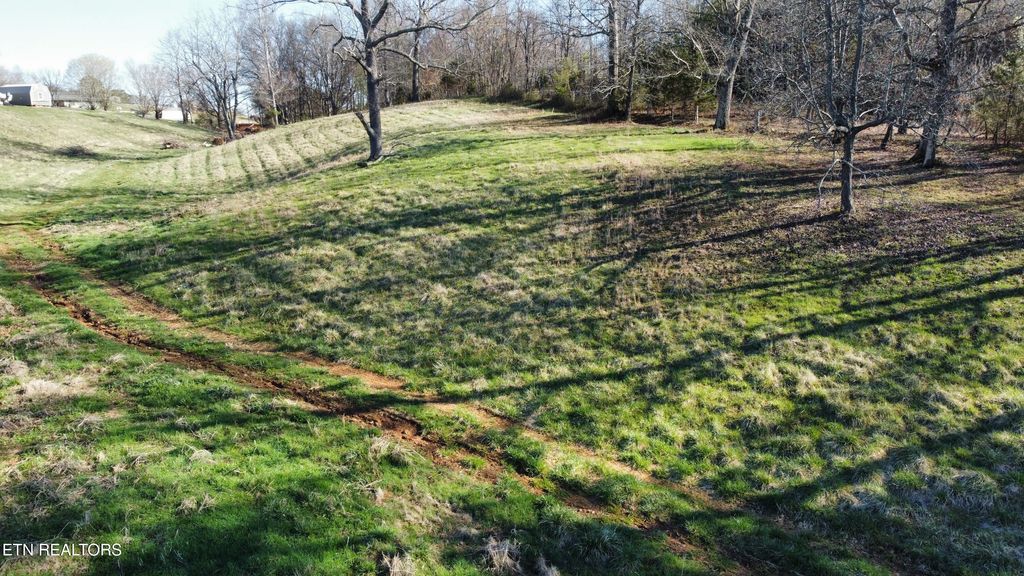Photo of 294 Richland Rd, Blaine, TN 37709 (MLS # 1294149)