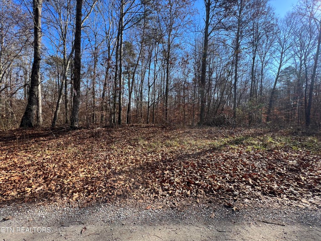 Photo of 12 Jones Ridge Rd, Speedwell, TN 37870 (MLS # 1246400)