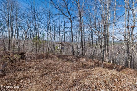 Tiny photo for SR 27, Sunbright, TN 37872 (MLS # 1327907)