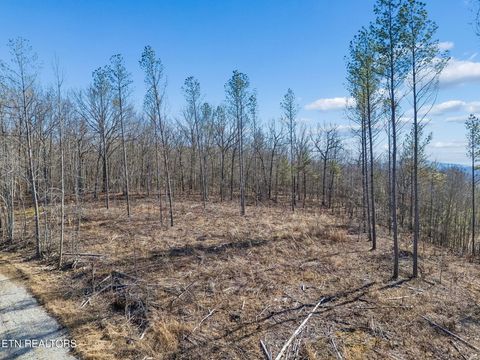 Tiny photo for SR 27, Sunbright, TN 37872 (MLS # 1327907)