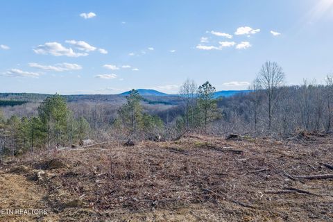 Tiny photo for SR 27, Sunbright, TN 37872 (MLS # 1327907)