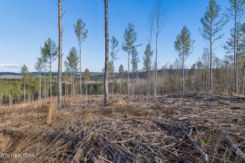 Tiny photo for SR 27, Sunbright, TN 37872 (MLS # 1327907)