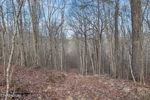 Tiny photo for SR 27, Sunbright, TN 37872 (MLS # 1327907)