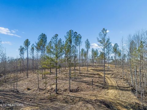 Tiny photo for SR 27, Sunbright, TN 37872 (MLS # 1327907)