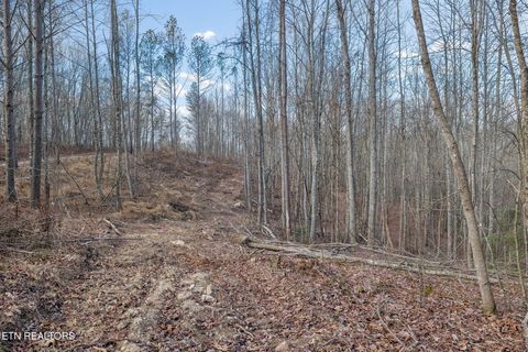 Tiny photo for SR 27, Sunbright, TN 37872 (MLS # 1327907)