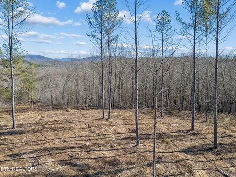 Tiny photo for SR 27, Sunbright, TN 37872 (MLS # 1327907)