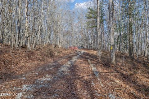Tiny photo for SR 27, Sunbright, TN 37872 (MLS # 1327907)