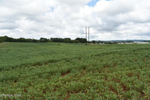 Old Poplar Ridge Rd Talbott TN 37877