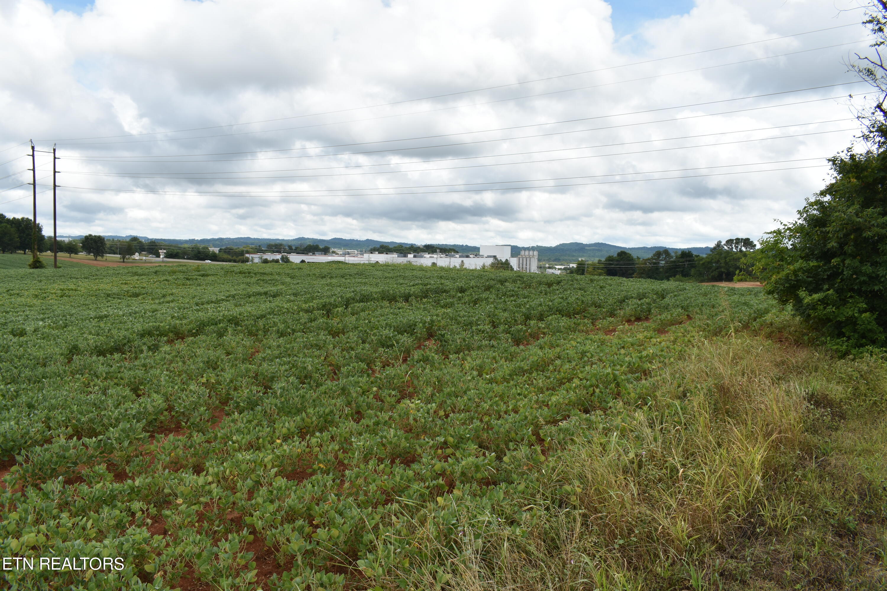 Old Poplar Ridge Rd