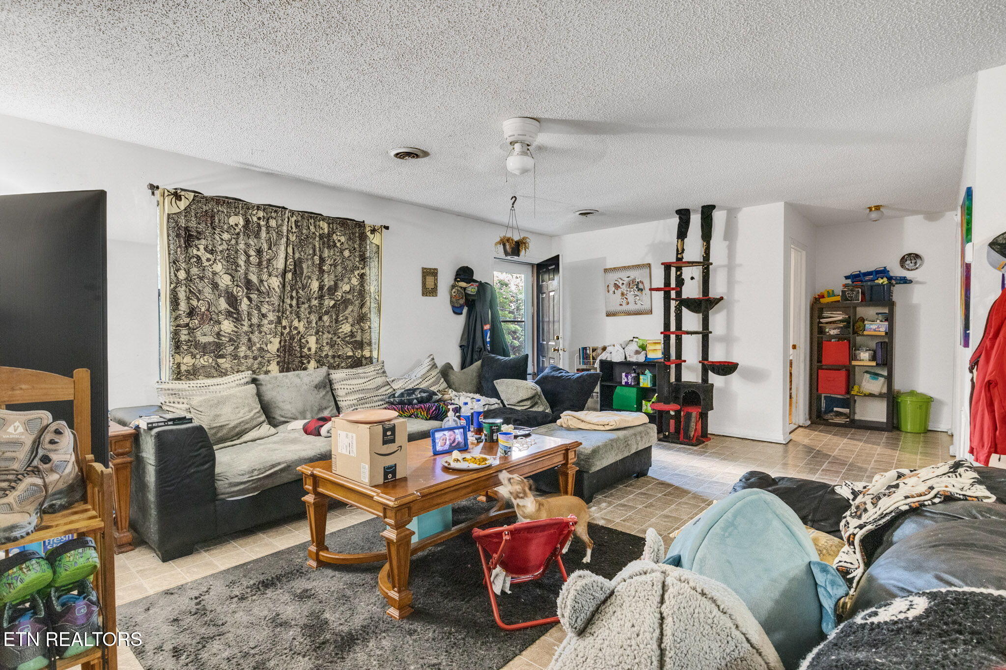 116 Hazel Drive