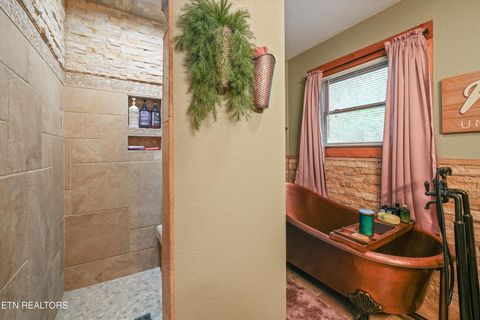 Tiny photo for 176 Hummingbird Lane, Sharps Chapel, TN 37866 (MLS # 1336219)